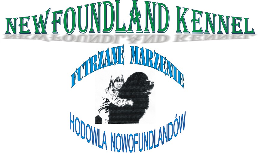 Kliknij aby przejs dalej!!